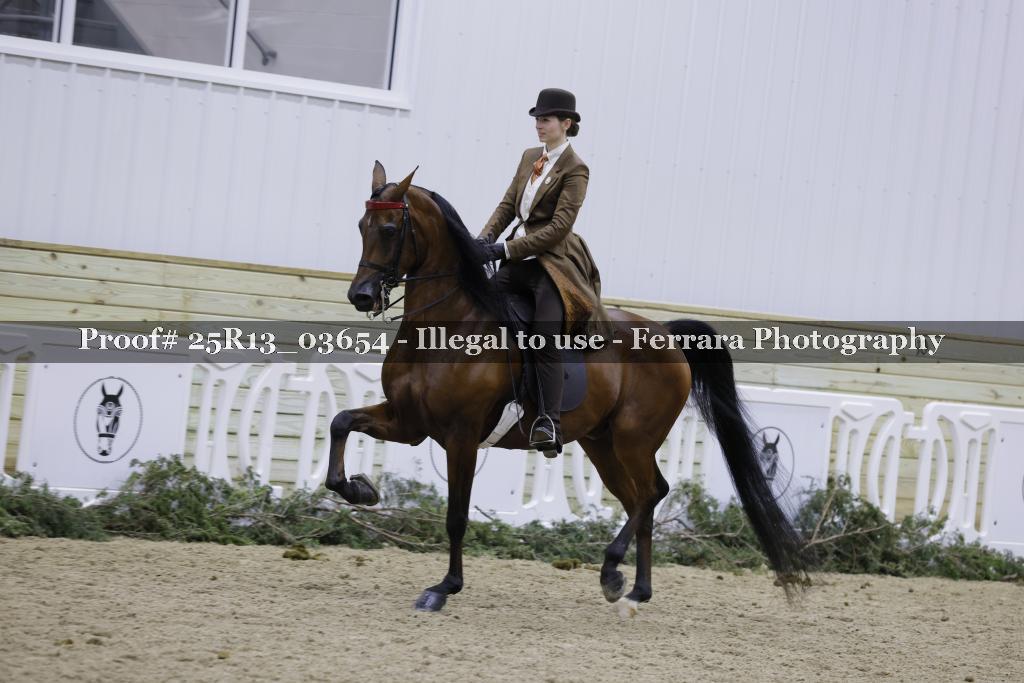 Proof 25R13_03654