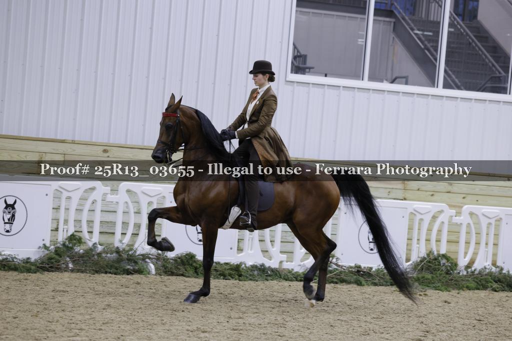 Proof 25R13_03655
