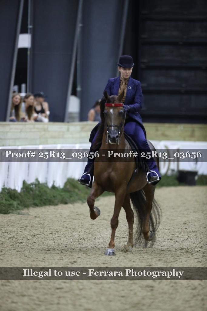 Proof 25R13_03656