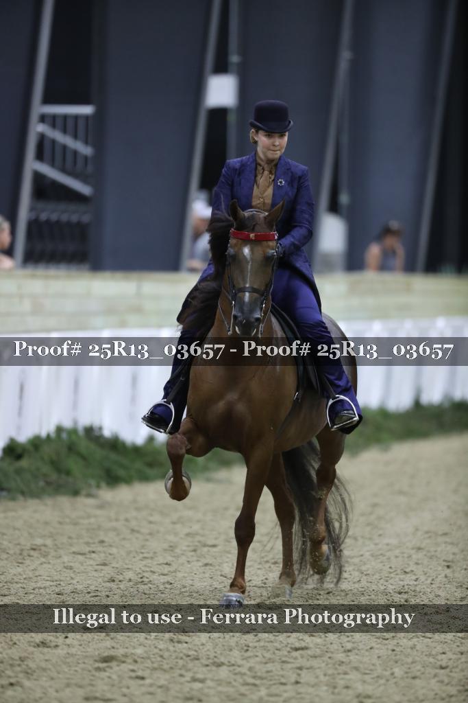 Proof 25R13_03657