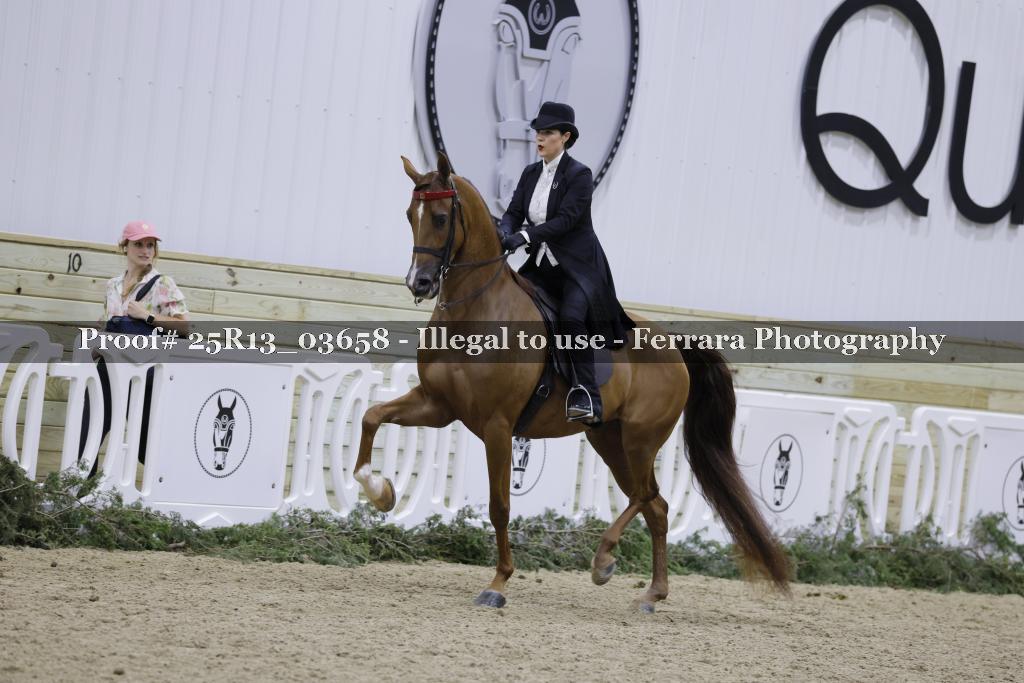 Proof 25R13_03658