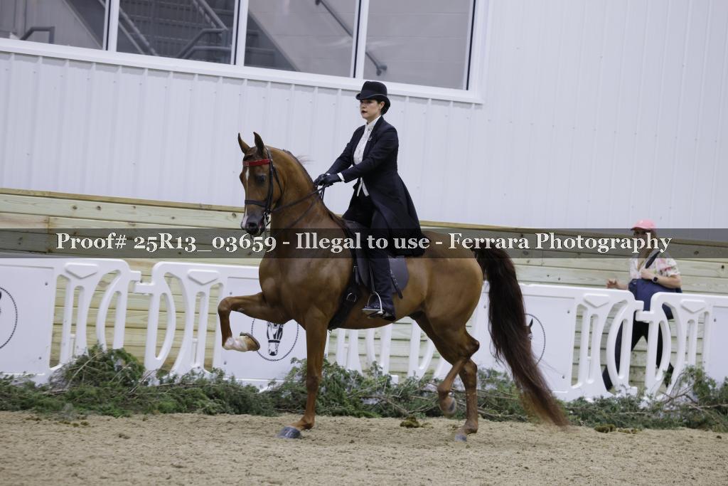 Proof 25R13_03659