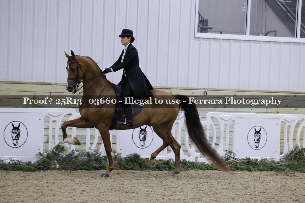 Proof 25R13_03660