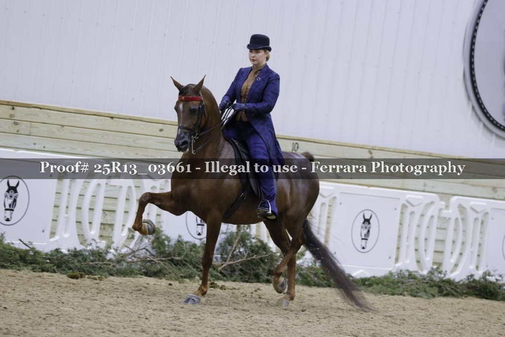 Proof 25R13_03661