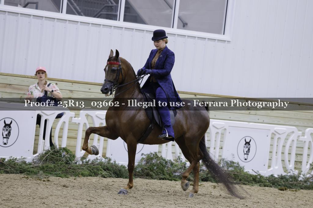 Proof 25R13_03662