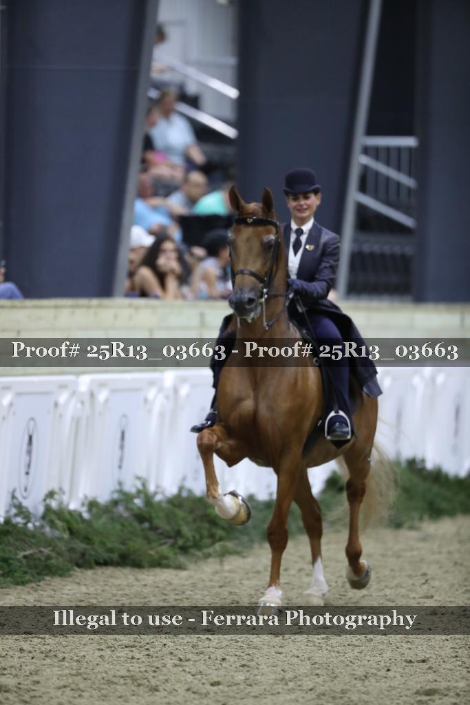 Proof 25R13_03663
