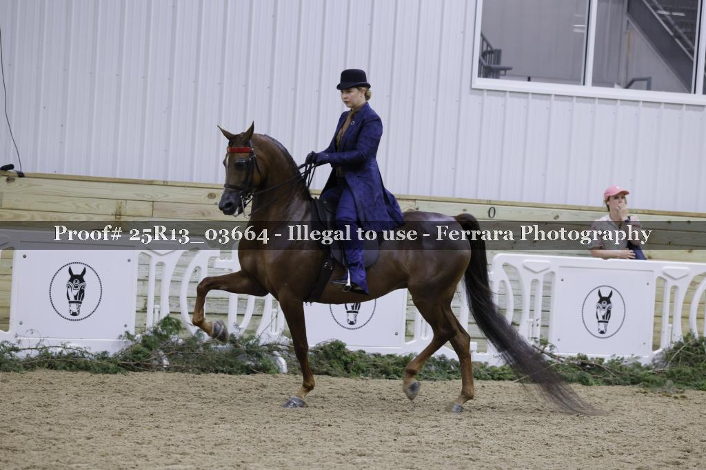 Proof 25R13_03664