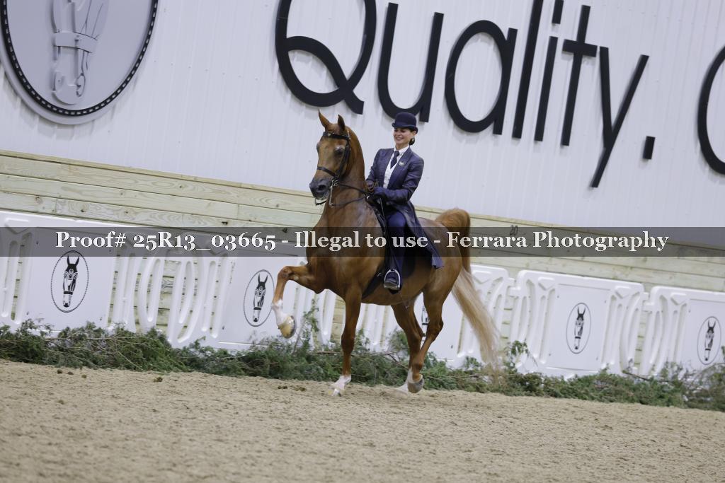 Proof 25R13_03665