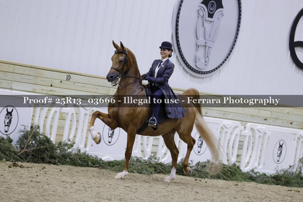 Proof 25R13_03666