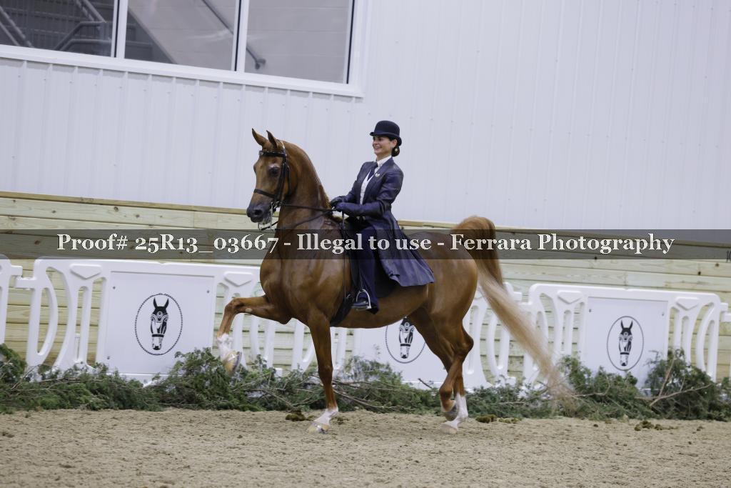 Proof 25R13_03667