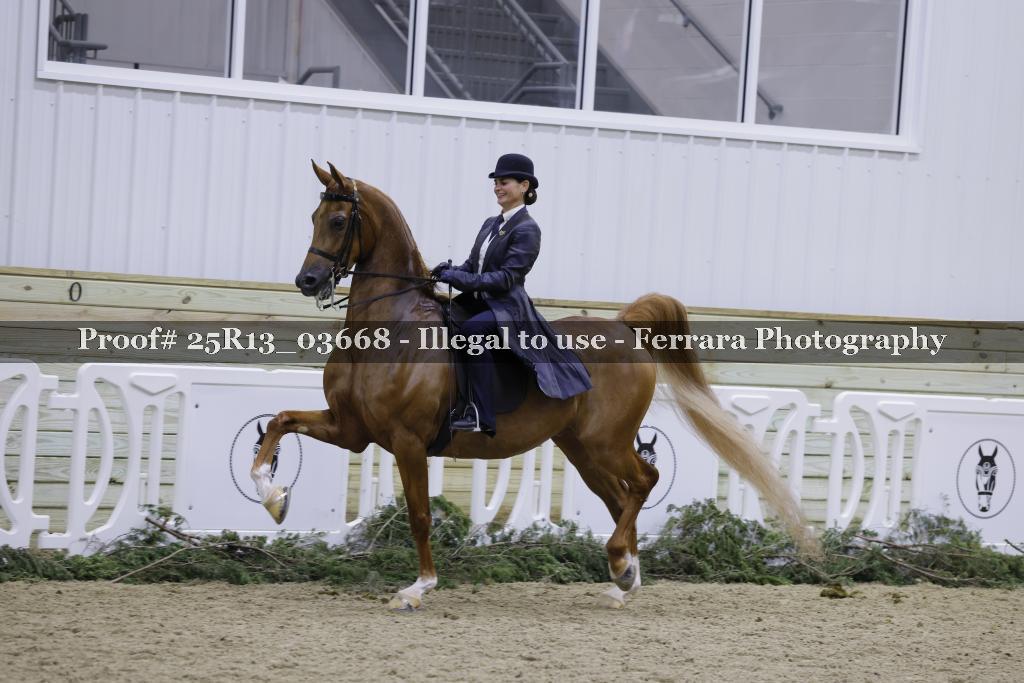 Proof 25R13_03668