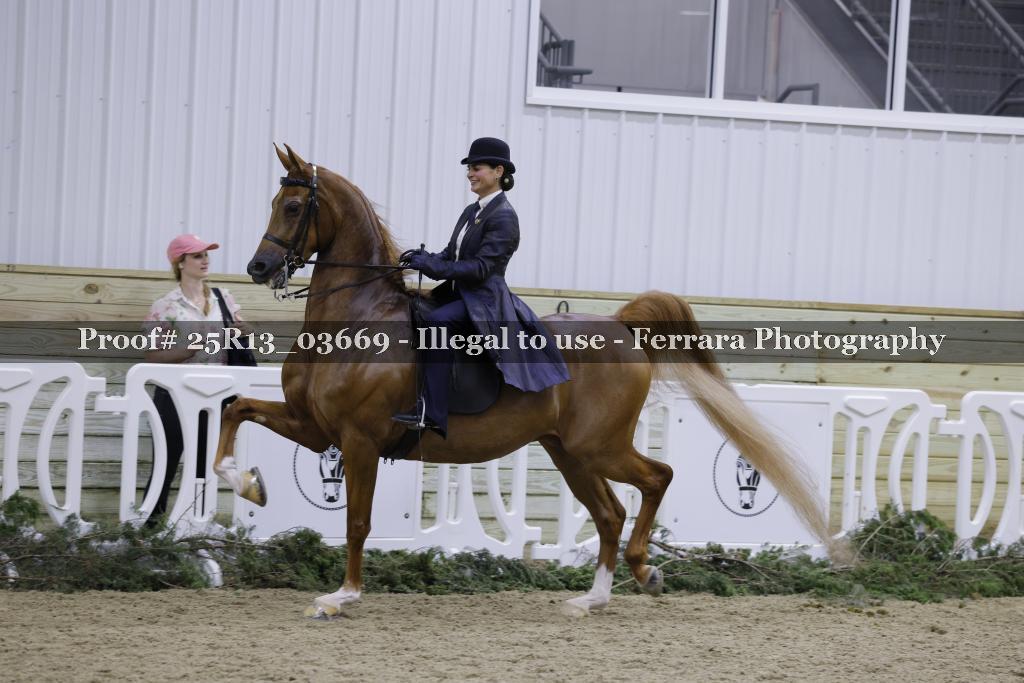 Proof 25R13_03669