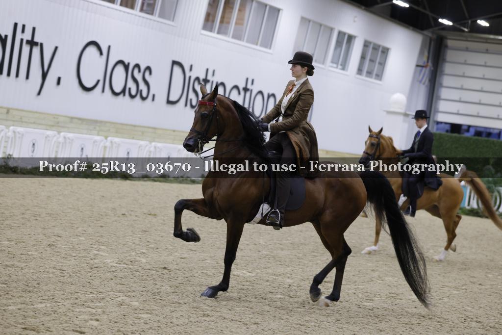 Proof 25R13_03670