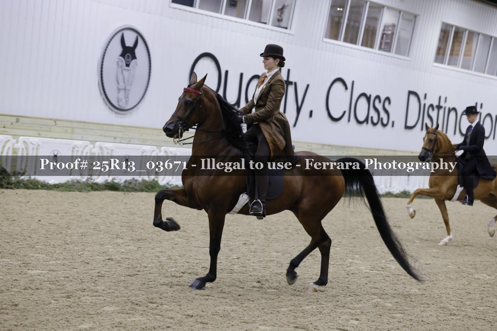 Proof 25R13_03671