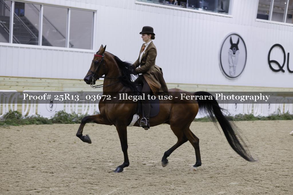 Proof 25R13_03672