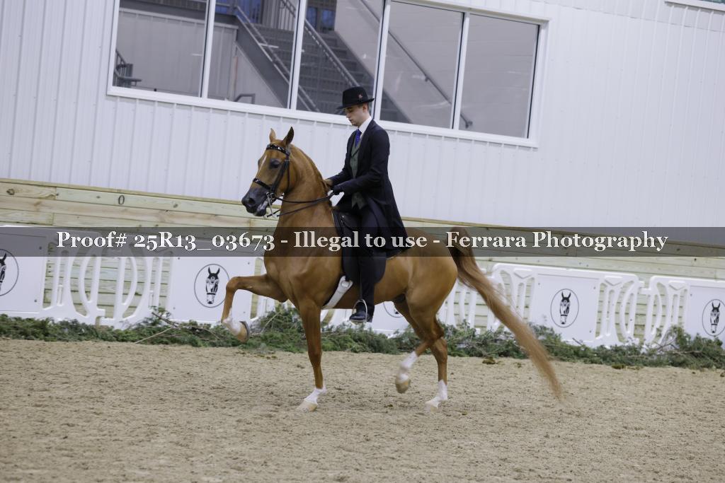 Proof 25R13_03673