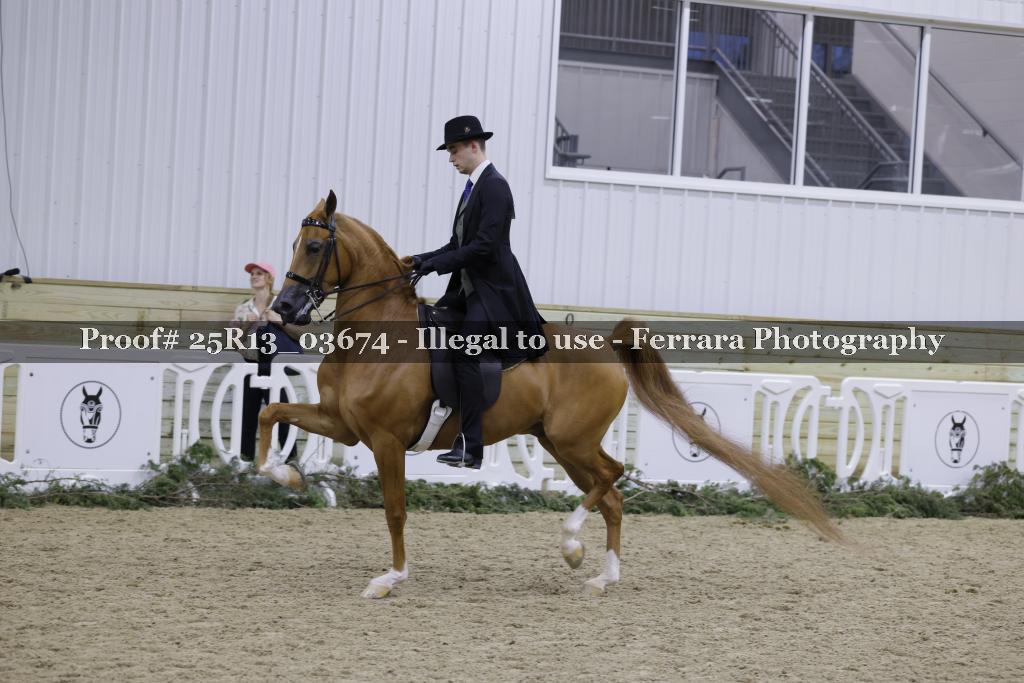 Proof 25R13_03674