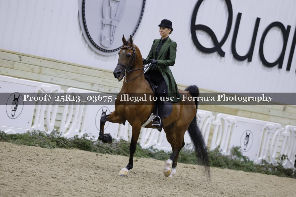 Proof 25R13_03675