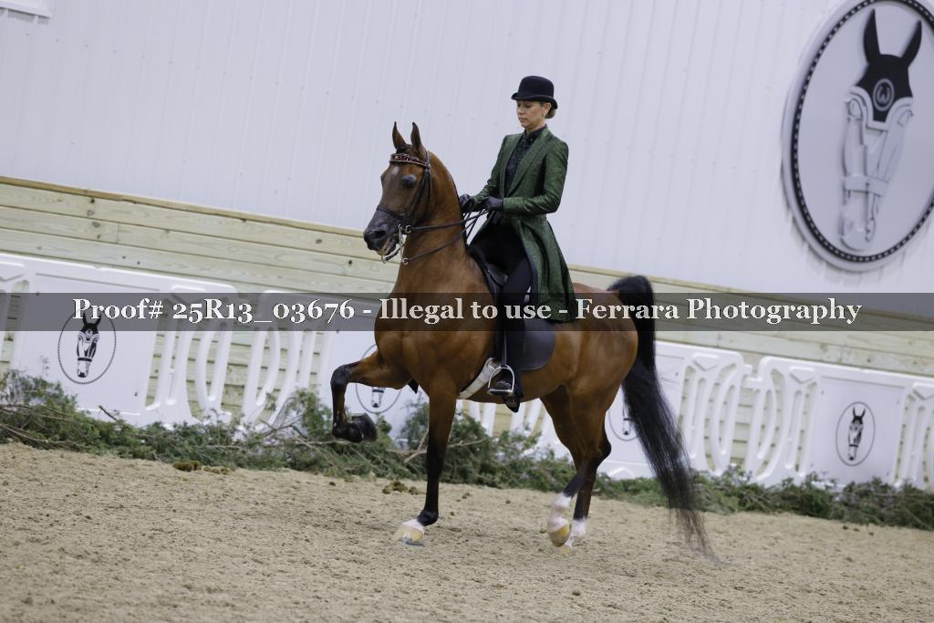 Proof 25R13_03676