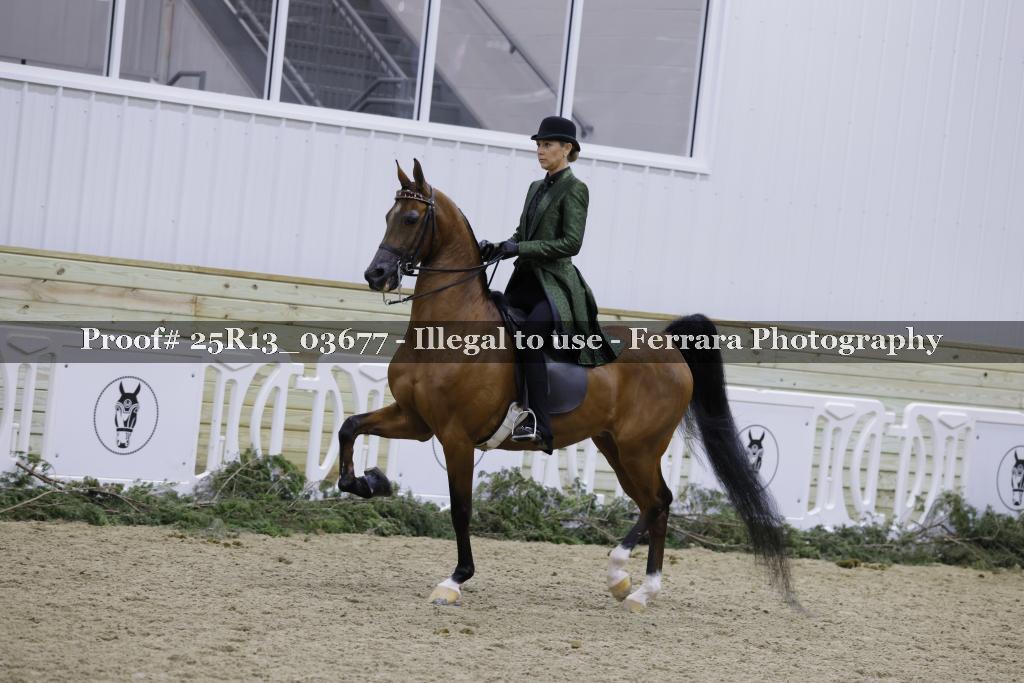Proof 25R13_03677