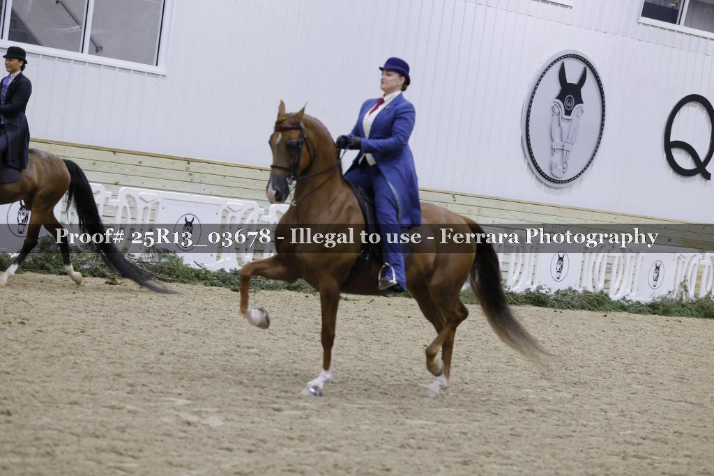 Proof 25R13_03678