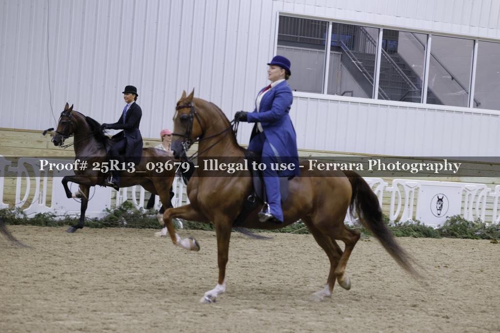 Proof 25R13_03679