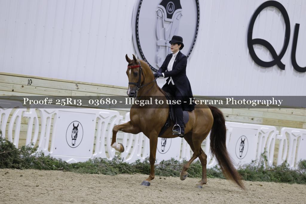 Proof 25R13_03680