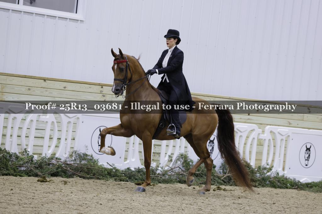 Proof 25R13_03681