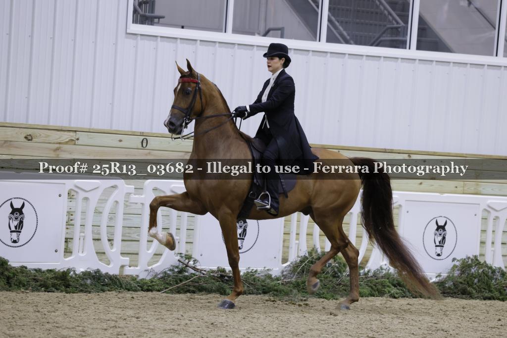 Proof 25R13_03682
