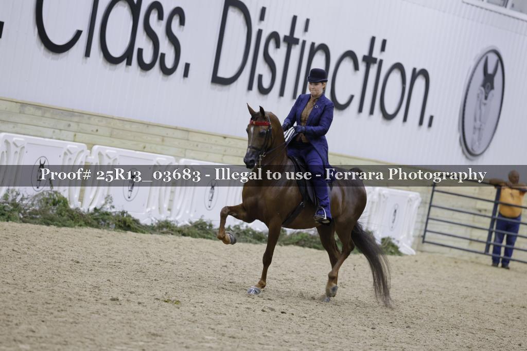 Proof 25R13_03683