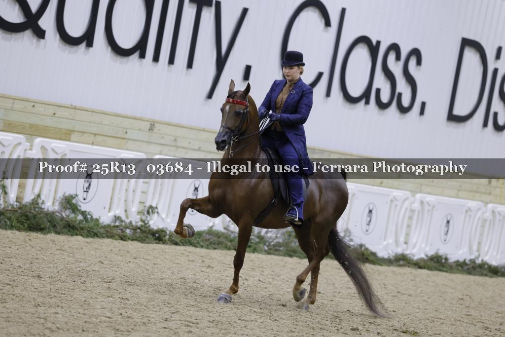 Proof 25R13_03684