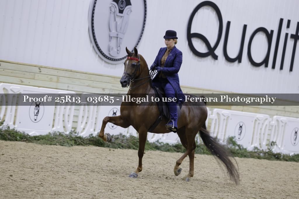 Proof 25R13_03685