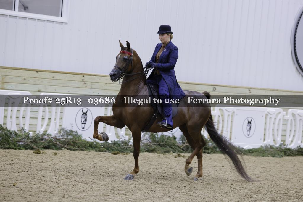 Proof 25R13_03686