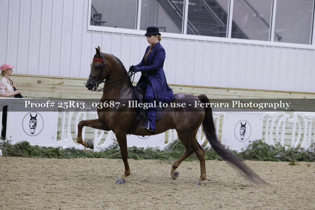 Proof 25R13_03687