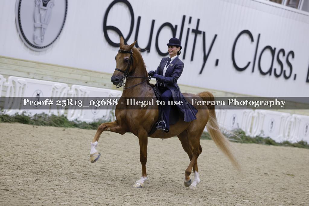 Proof 25R13_03688