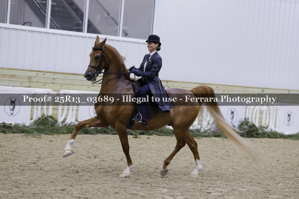 Proof 25R13_03689