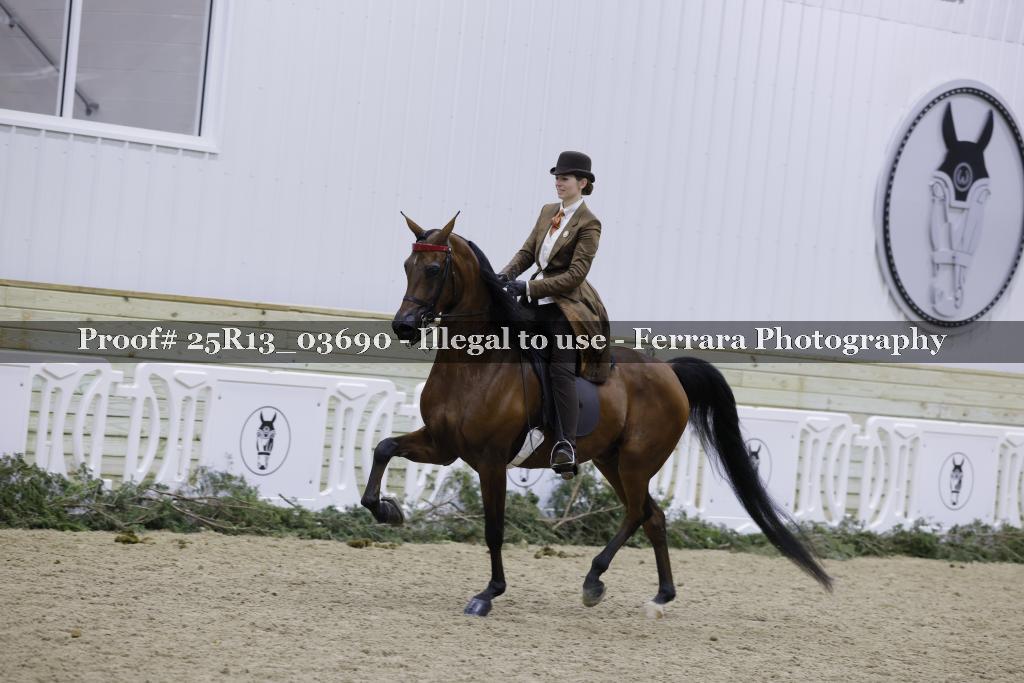 Proof 25R13_03690