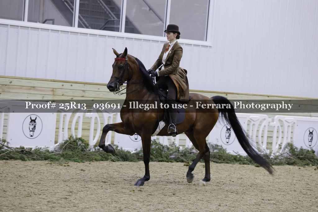 Proof 25R13_03691