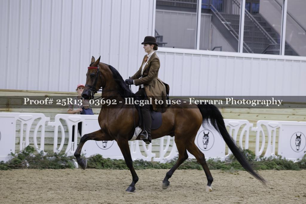 Proof 25R13_03692