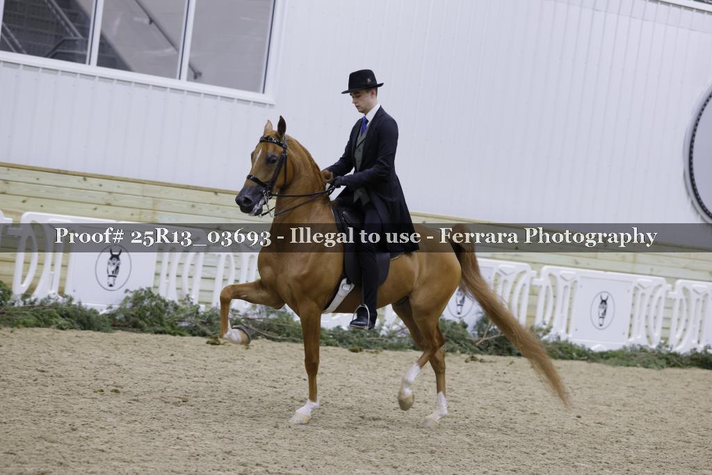 Proof 25R13_03693