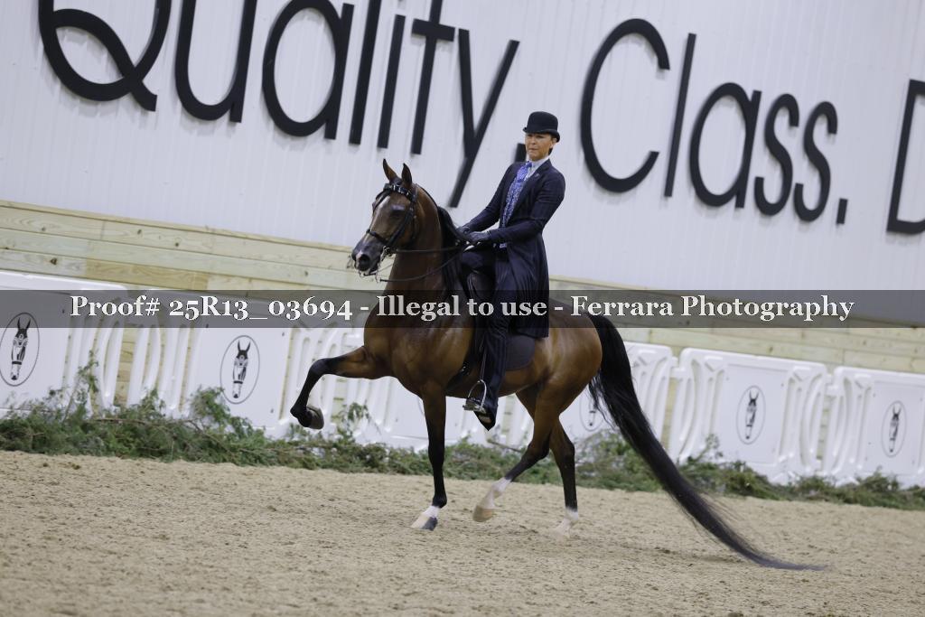 Proof 25R13_03694
