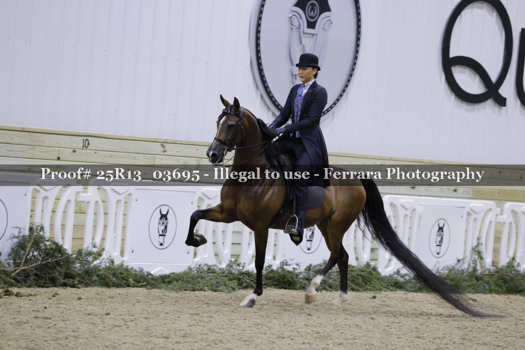 Proof 25R13_03695