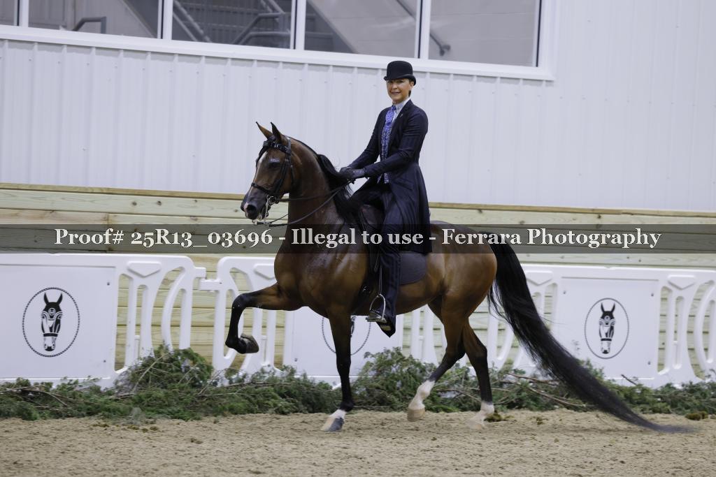 Proof 25R13_03696