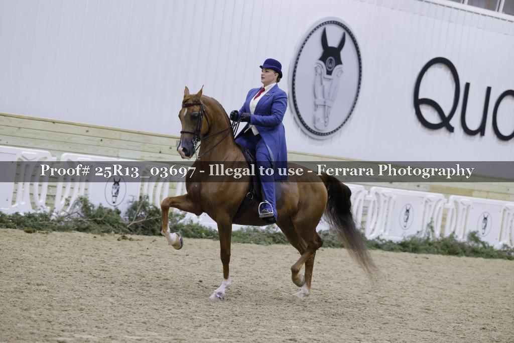 Proof 25R13_03697