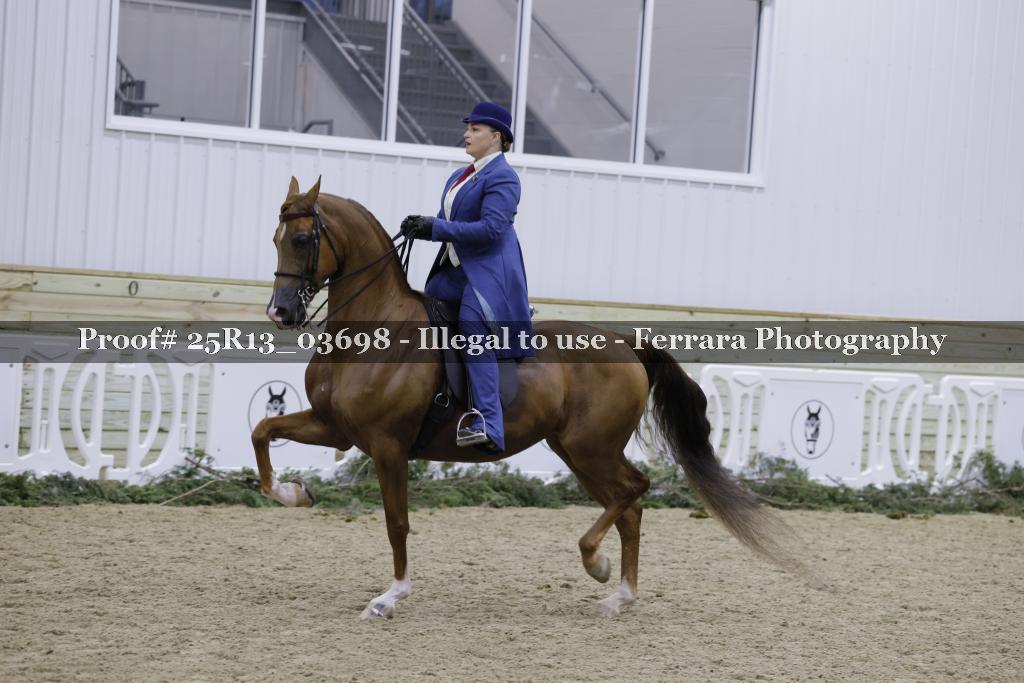 Proof 25R13_03698