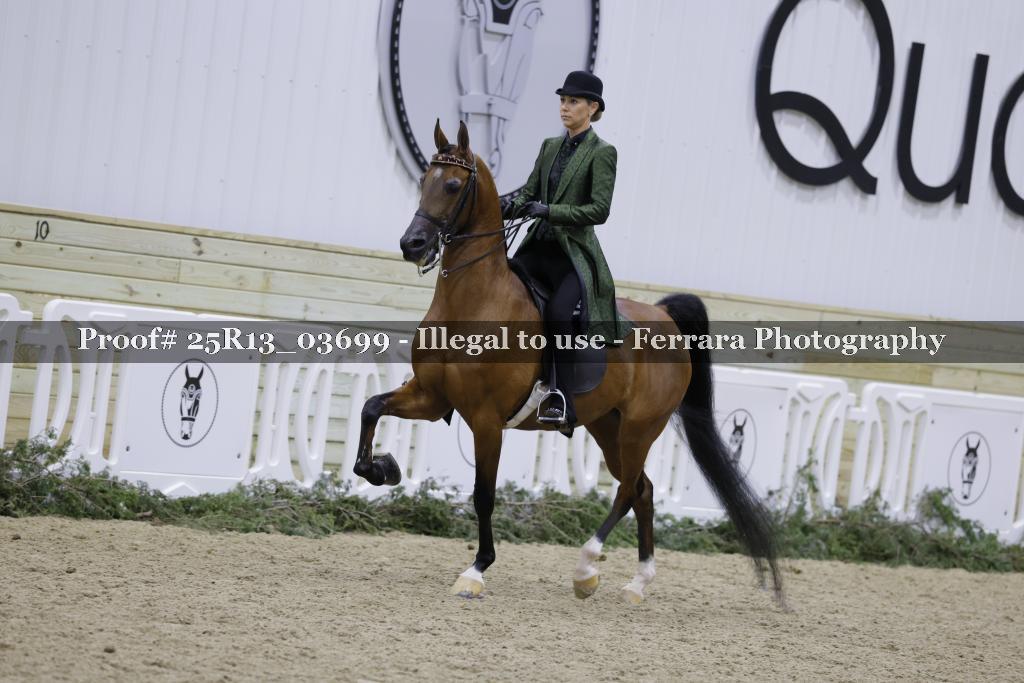 Proof 25R13_03699