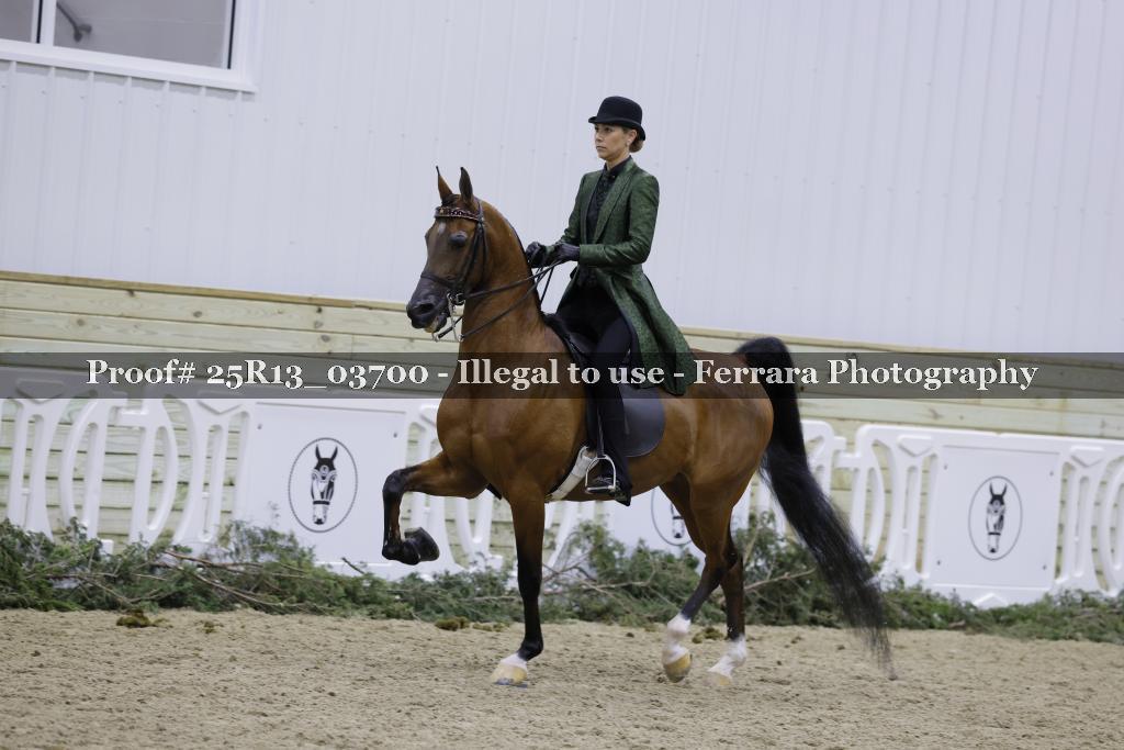 Proof 25R13_03700