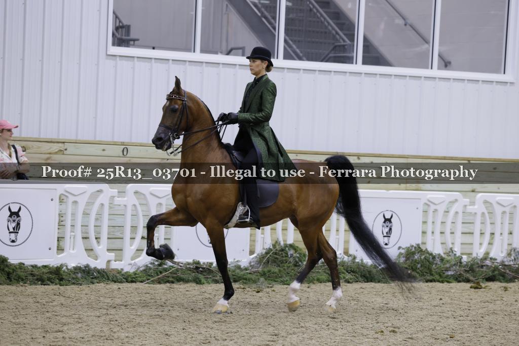 Proof 25R13_03701
