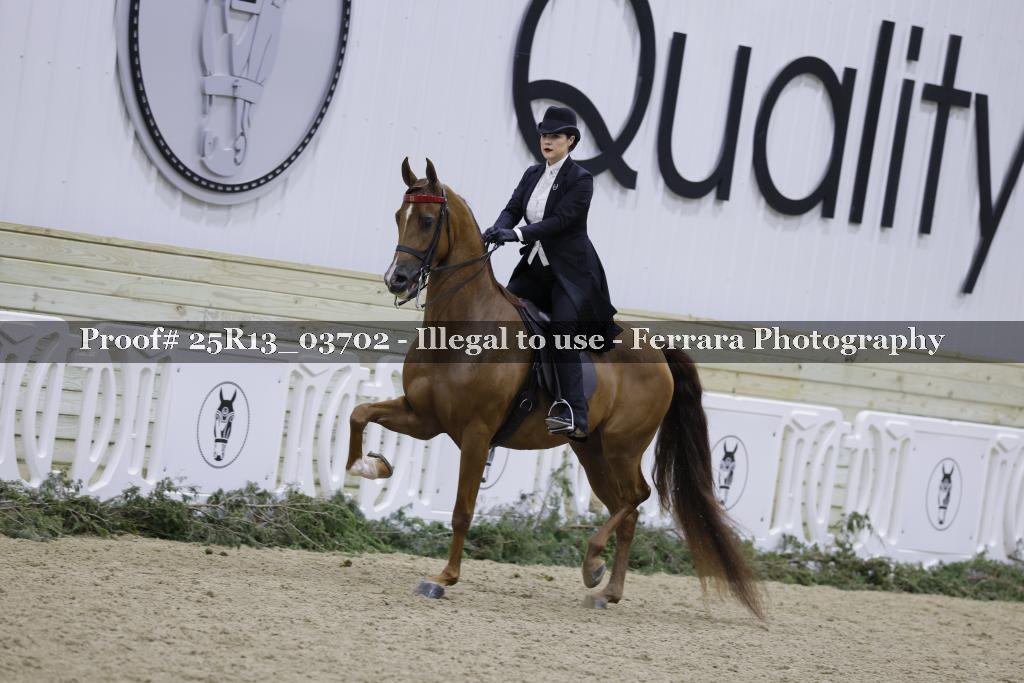 Proof 25R13_03702
