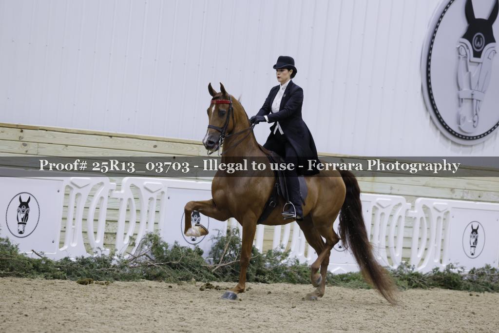 Proof 25R13_03703